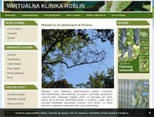 Tablet Screenshot of klinikaroslin.com
